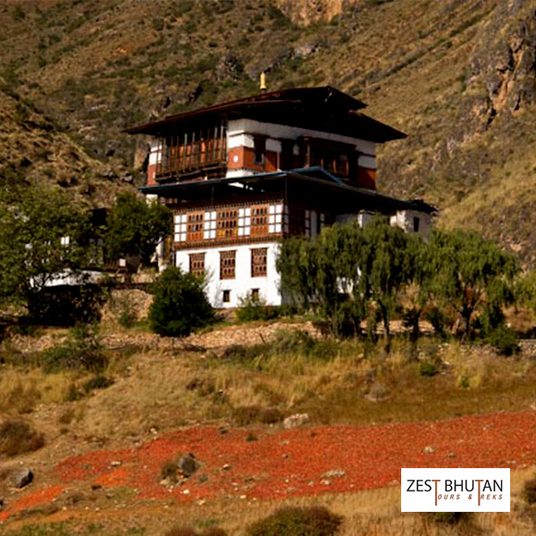bhutanese house